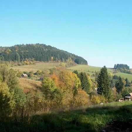 In Czechia With Private Pool Appartement