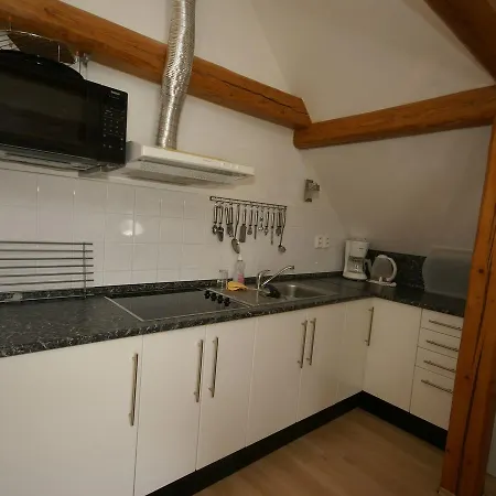 In Czechia With Private Pool Appartement