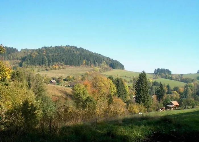 In Czechia With Private Pool Apartmán